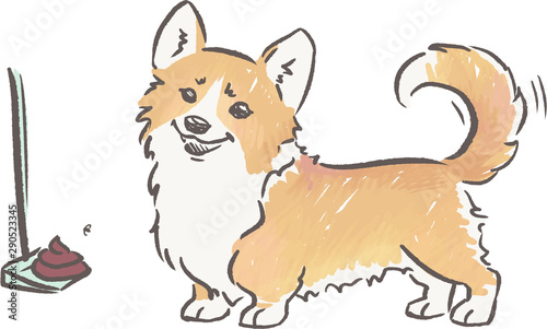 Shama the corgi and cleaning up after dog. Dog behaviour and rules for owners. Hand drawn colour illustration.