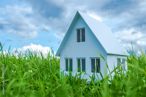 The house is on the grass. ...