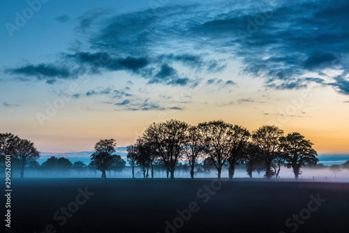 Misty lanscape at sunset with silhouette trees