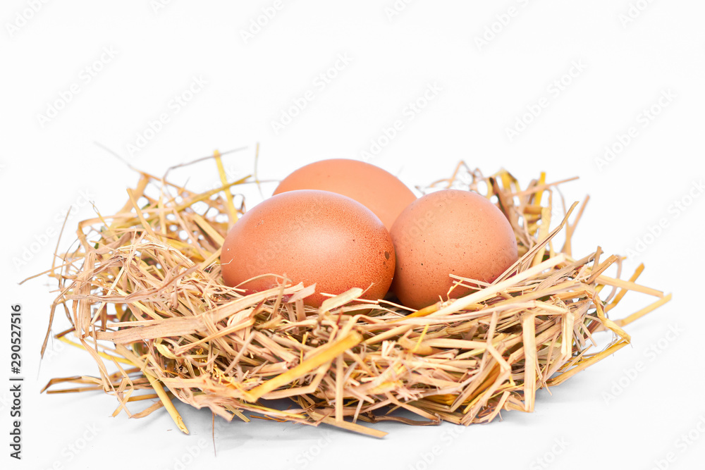 Chicken eggs in the nest, isolated on white background Chicken eggs in the nest, isolated on white background