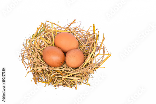 Chicken eggs in the nest, isolated on white background