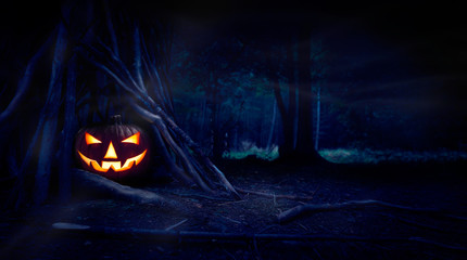 A single halloween Jack O Lantern hiding in a wood shelter, campsite on the forest floor on the left side of frame with space for text on the right.