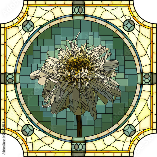 Vector illustration of blooming terry camomile.