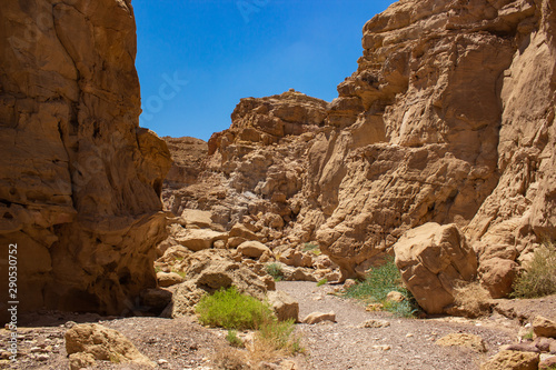 Wallpaper Mural Middle East Jordan desert canyon rocky scenery landscape wilderness environment with passage between mountains  Torontodigital.ca