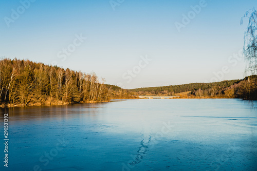 Tranquil blue lake surrounded by forest trees on a sunny clear sky day in a scenic rural landscape