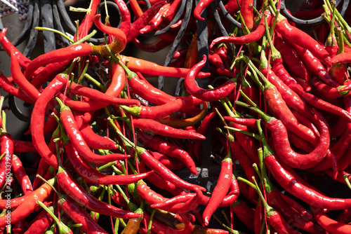 Drying long red pepper with hanging in shadow. A sewing needle and thread is required for hanging process. photo