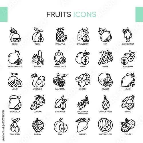 Fruit   Thin Line and Pixel Perfect Icons