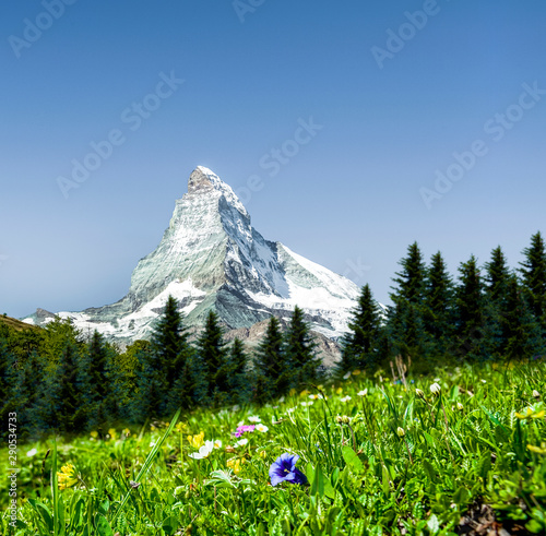 Matterhorn mit Enzianwiese