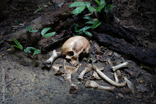 Foto The skull and pile of bone in pit the old graveyard discover by dig in cemetery