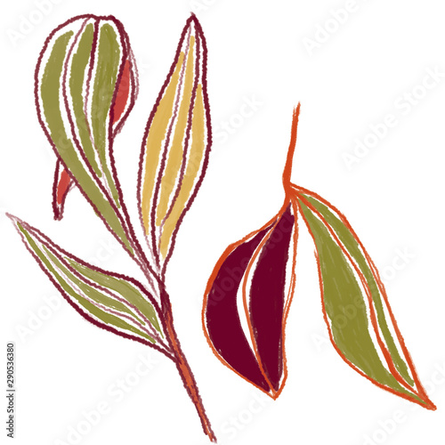 Flower allustration and leaf digital illustration in color photo