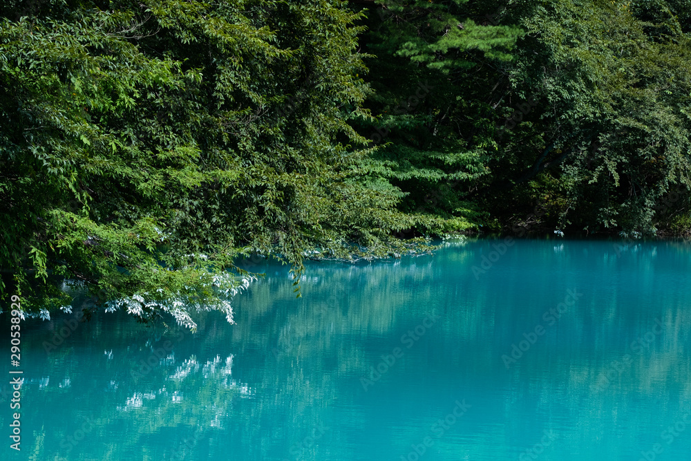 Fototapeta premium 五色沼湖沼群 青沼