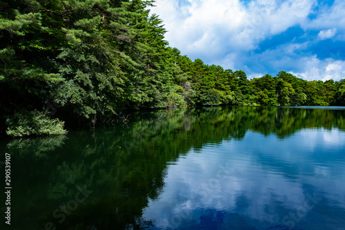 五色沼湖沼群　柳沼