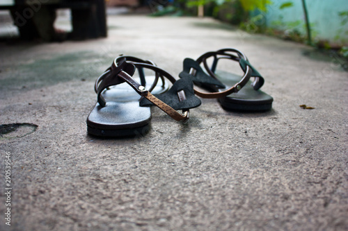 shoes