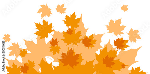 Graphic orange autumn falling maple leaves. Isolated on white background. Vector background.