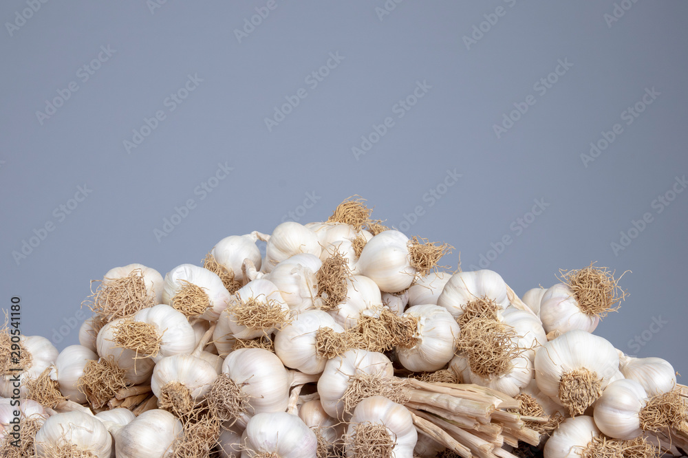 Garlics on the grey isolated background Garlics on the grey isolated background