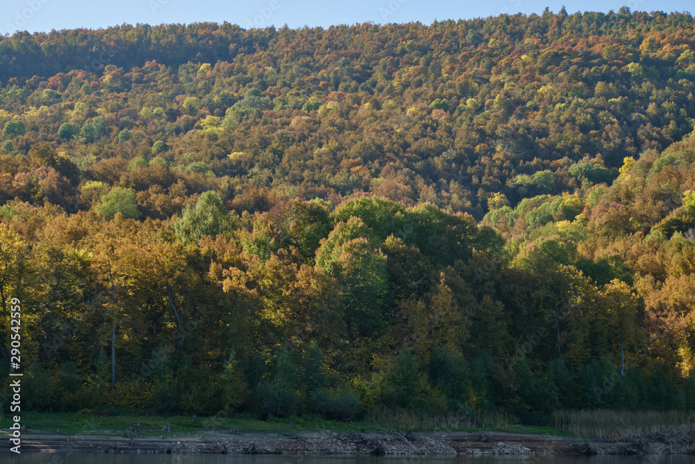 mountains in autumn forest in Sunny weather mountains in autumn forest in Sunny weather