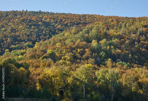 mountains in autumn forest in Sunny weather