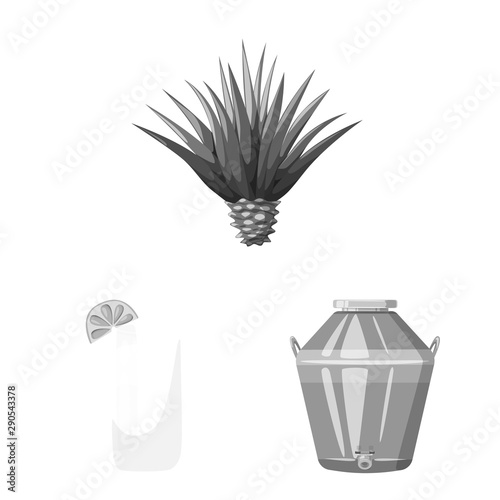 Vector design of fajita and fiesta sign. Set of fajita and celebration stock symbol for web.