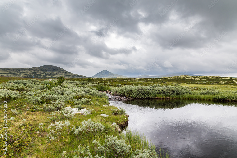 Fototapeta premium Landscape Rondane National Park in Oppland Norway