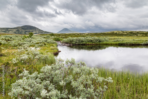 Landscape Rondane National Park in Oppland Norway photo