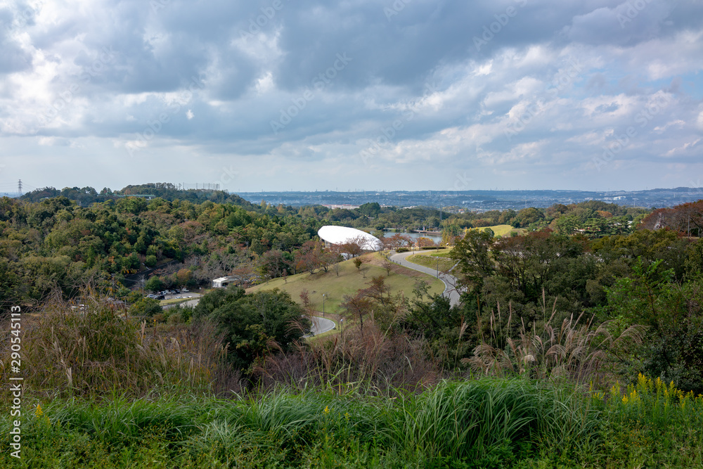 Fototapeta premium 鞍ヶ池公園遠景