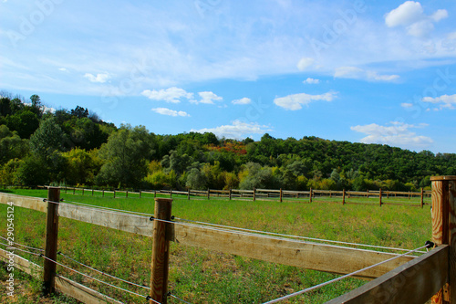 Beautiful rural landscape. Beautiful nature background. Paddocks for horses . Stable, forest, field.