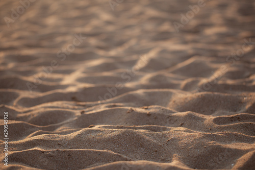 sand background and sunset. textured