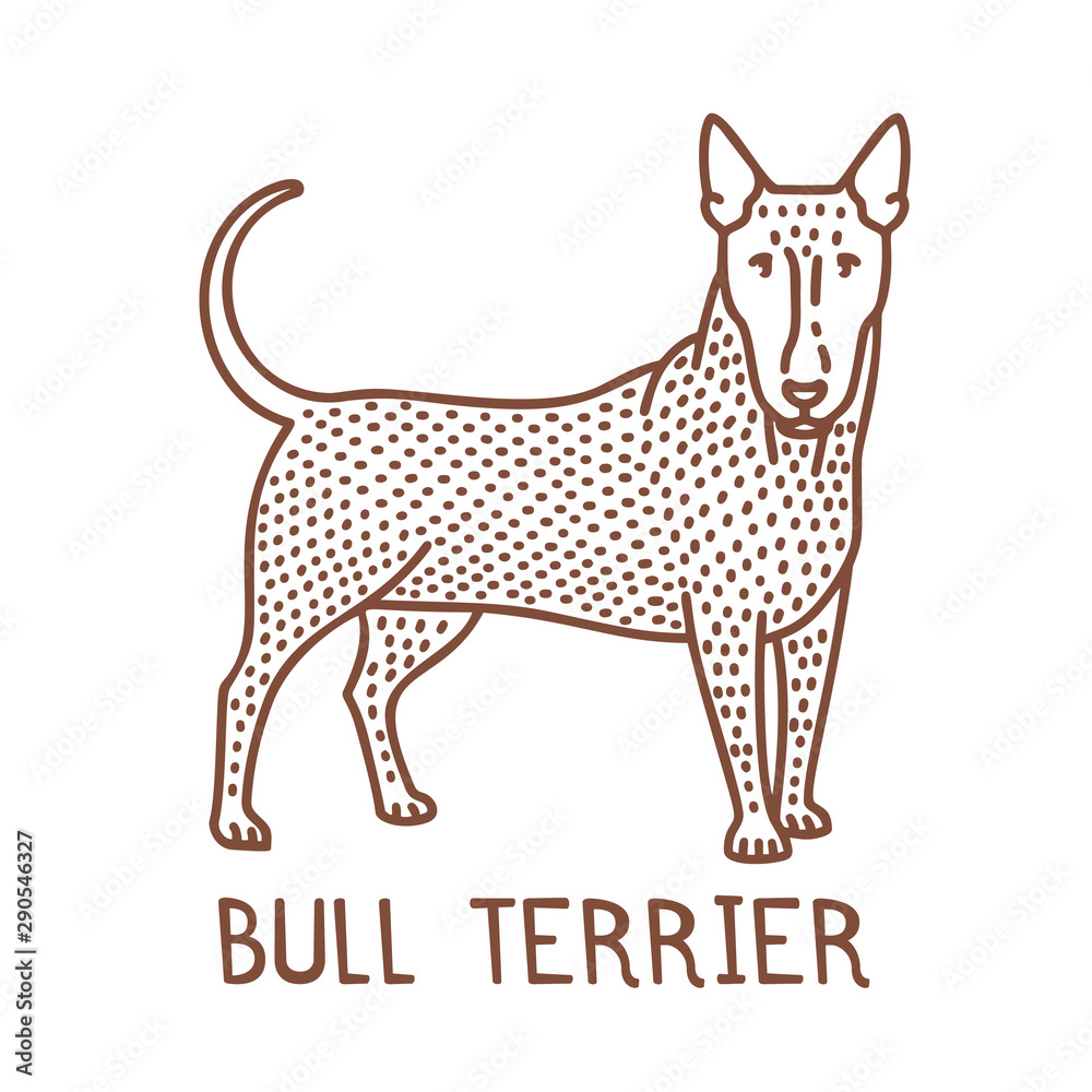 Isolated Bull Terrier in Hand Drawn Doodle Style