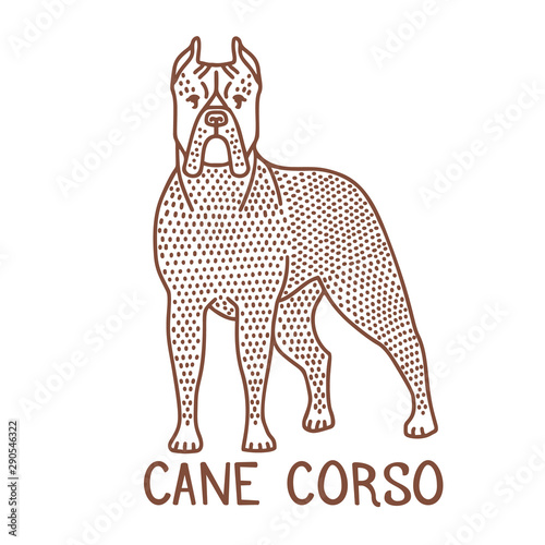 Isolated Cane Corso in Hand Drawn Doodle Style