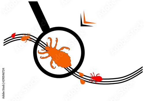 Illustration poux
