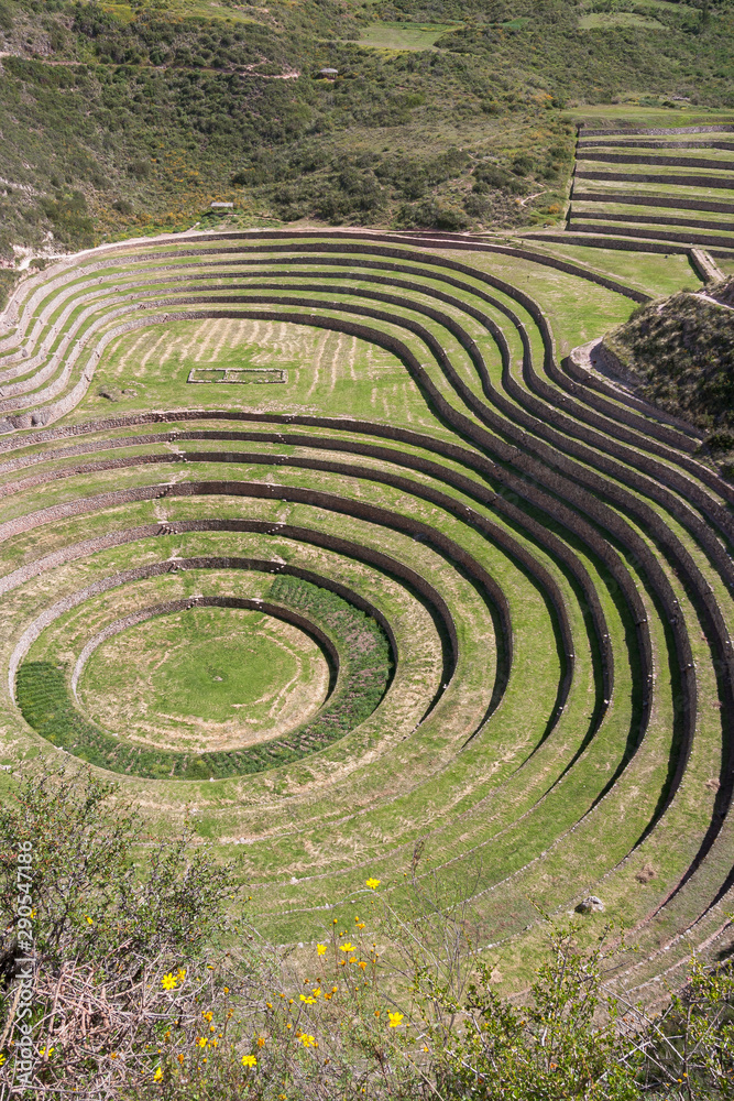 Moray crops overlook from above, Cusco, Peru Moray crops overlook from above, Cusco, Peru