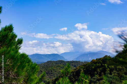 Mountains with Christmas trees against the blue sky with clouds. Beautiful panoramic view of firs and larches coniferous forest against blue sky.