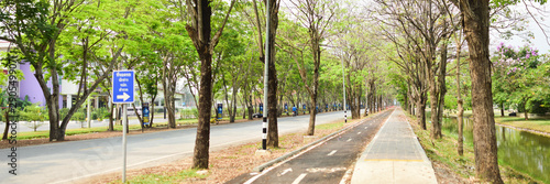 Landscape nature public park, Travel thailand