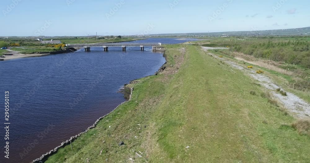 Herd of cattle in Irish countryside, wide aerial Herd of cattle in Irish countryside, wide aerial