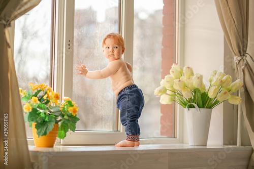 Foto a little boy looks in the window