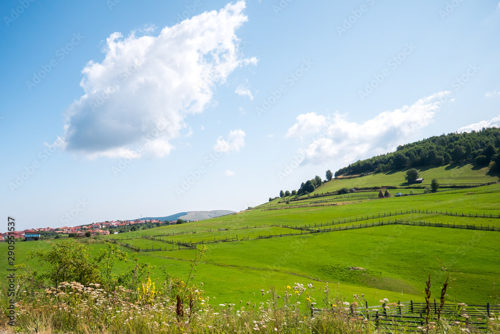 Fototapeta premium Landscape from countryside in summer sunny day