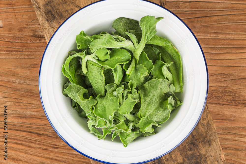 a plate of fresh Ice grass salad, a plate of fresh Ice grass salad,