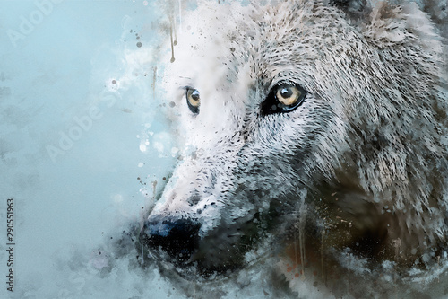 Majestic Wolf Portret zwierzęcia w technice mieszanej. Cyfrowy portret akwarela duży wilk z odpryskami farby, zadrapaniami i plamami.