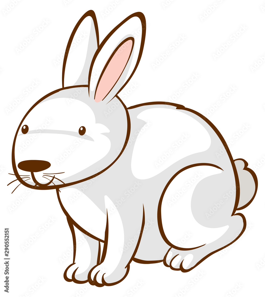Obraz premium White rabbit on white background