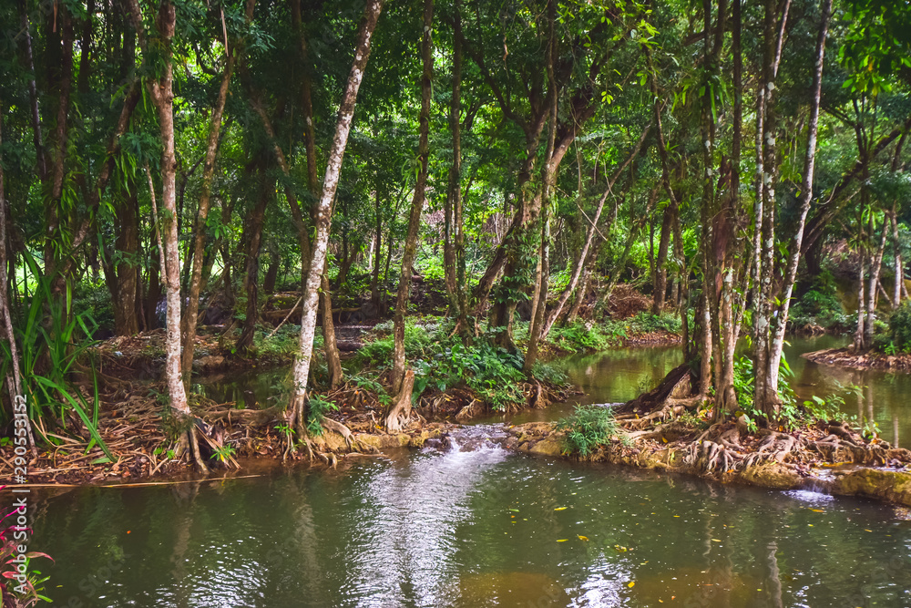 Landscape nature trees, Travel thailand Landscape nature trees, Travel thailand