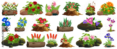 Large set of colorful flowers on rocks and wood