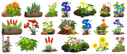 Large set of colorful flowers on rocks and wood