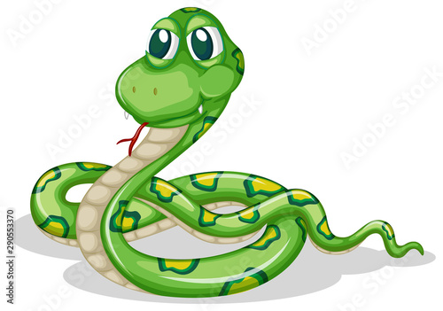 Green snake on white background