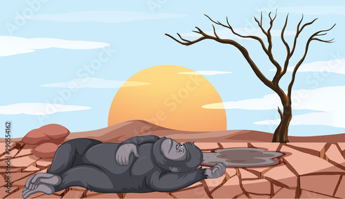 Scene with monkey dying in drought land