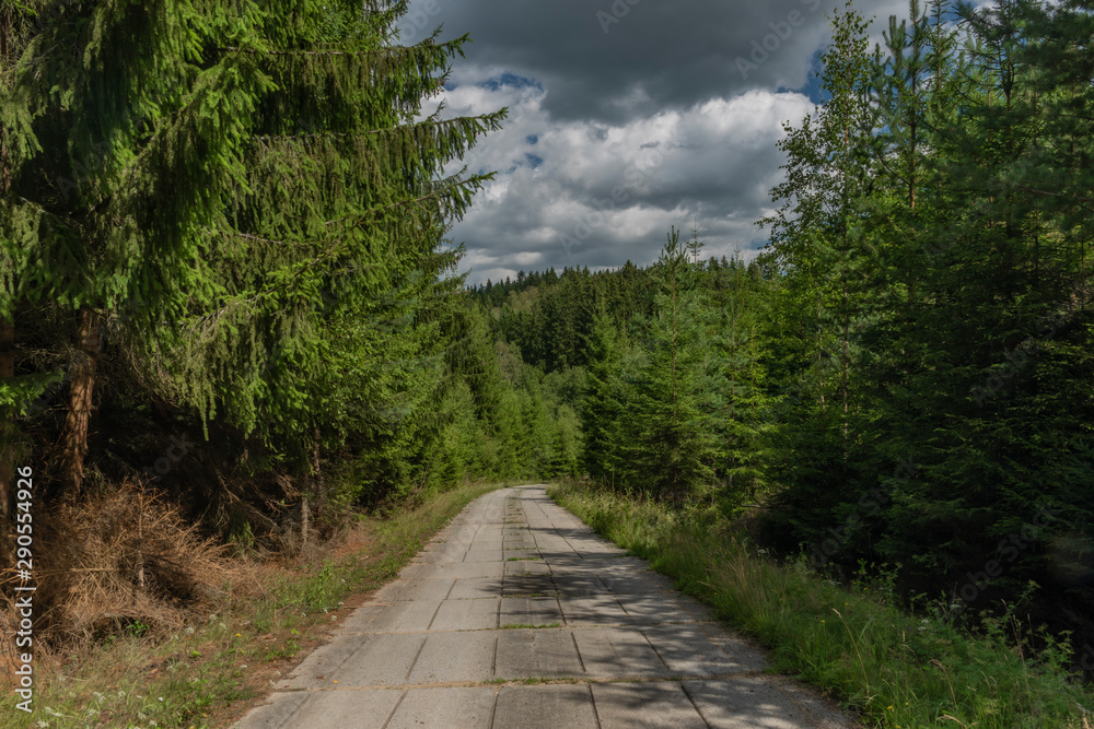 Obraz premium Concrete forest path in Slavkovsky Les national park in summer day