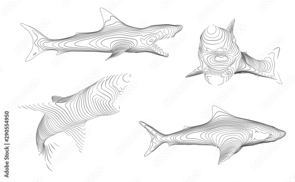 Obraz premium 3d vector set. ocean protection. great white shark.