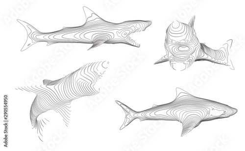 3d vector set. ocean protection. great white shark.