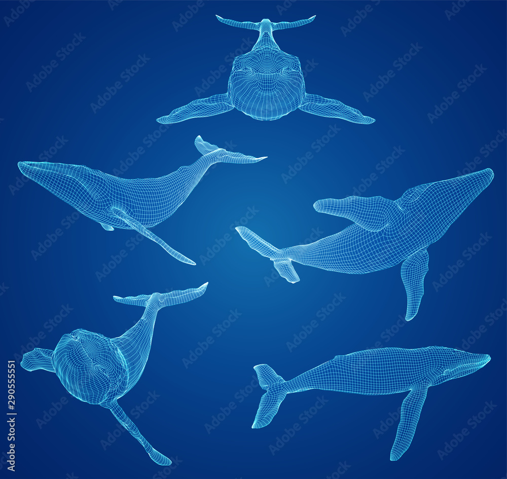 Obraz premium 3d vector set. ocean protection. big blue whale