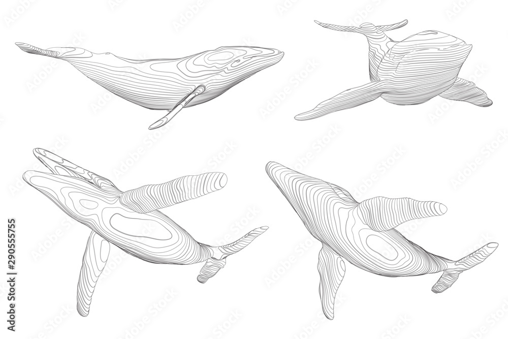 3d vector set. ocean protection. big blue whale 3d vector set. ocean protection. big blue whale