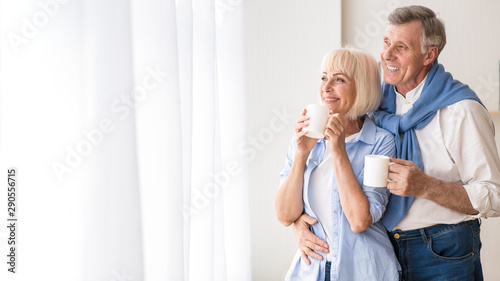 Happy senior couple drinking tea near window